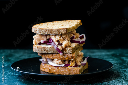 Tuna Fish Sandwich with Red Onions, Mayonnaise and Multigrain Light Toast Bread.