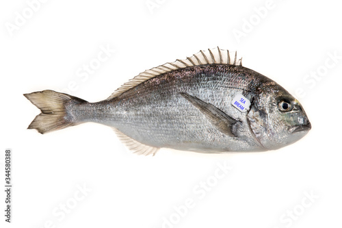 Fresh sea bream on white background