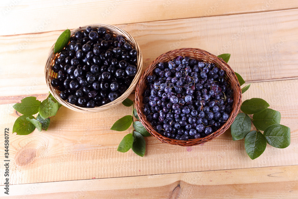 Blueberry harvest. Different varieties - Vaccinium corymbosum and Vaccinium uliginosum. Blueberry harvest. Different varieties - Vaccinium corymbosum and Vaccinium uliginosum.