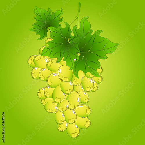 Delicious juicy summer alluring clusters of grapes