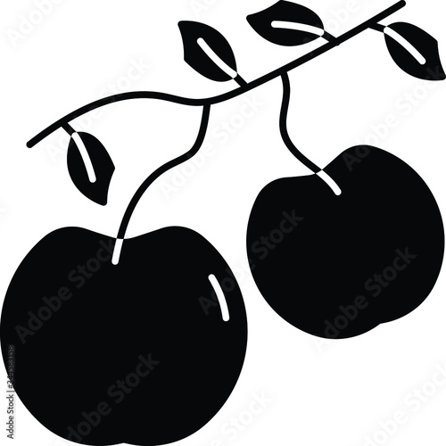 fruit