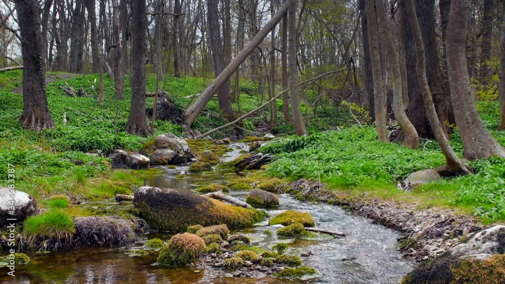 Slow flowing water in creek around mossy stones, Sweden Slow flowing water in creek around mossy stones, Sweden