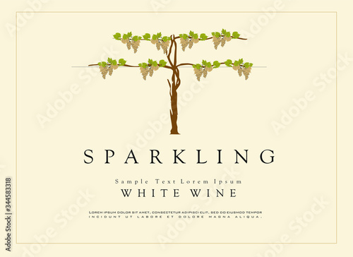 WINE LABEL ITALIAN FOOD AND DRINKS DECORATIVE STICKER FOR AMARONE, PROSECCO, CHIANTI, VALPOLICELLA,PRIMITIVE AND SPARKLING WINE