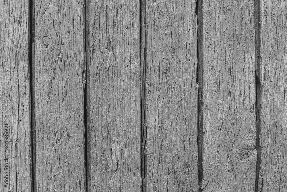 Fototapeta premium Rustic wood texture or background in monochrome.