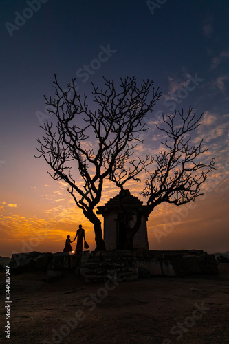silhouette of a tree © Abhishek