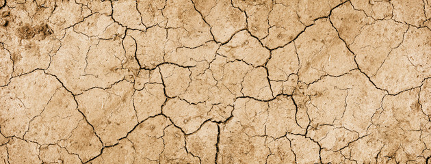 Dry mud background texture banner