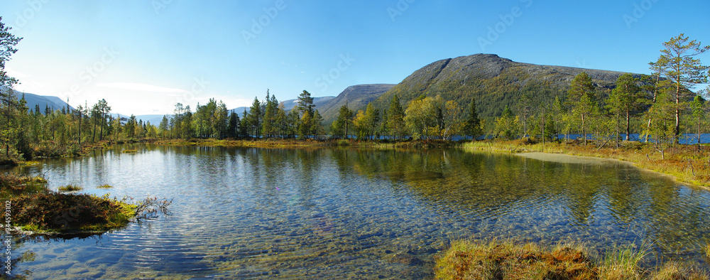Panorama of the Khibiny mountains with a clean, transparent lake surrounded by bushes and trees in the foreground. Bright sunny day in the Russian North