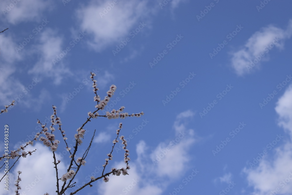 Obraz premium sky and clouds