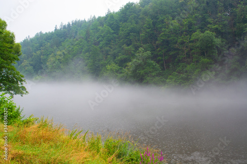 Fluss mit nebel