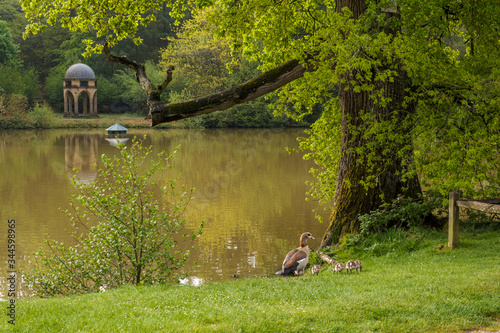 Canvas Print Walk around Benbow Pond, and Cowdray golf coarse in the Southdown National Park