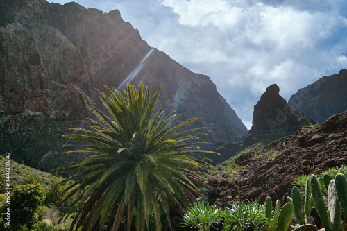 Masca Gorge Tenerife Spain