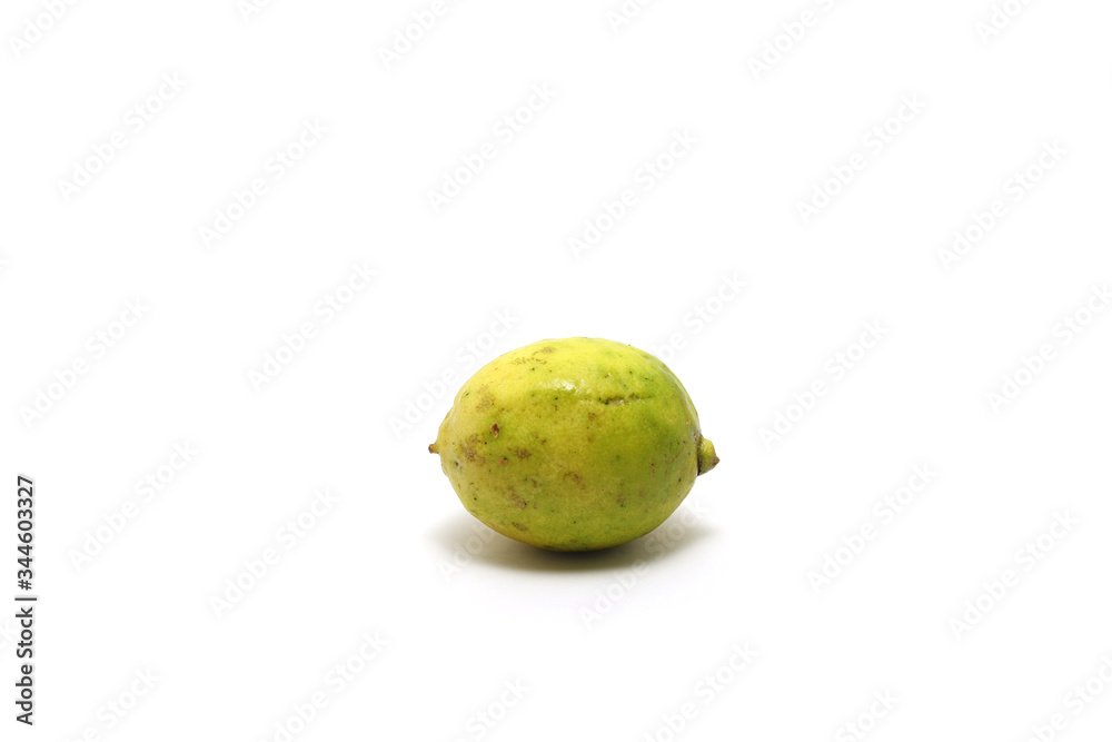 A lemon (Citrus limon) isolated on white background A lemon (Citrus limon) isolated on white background
