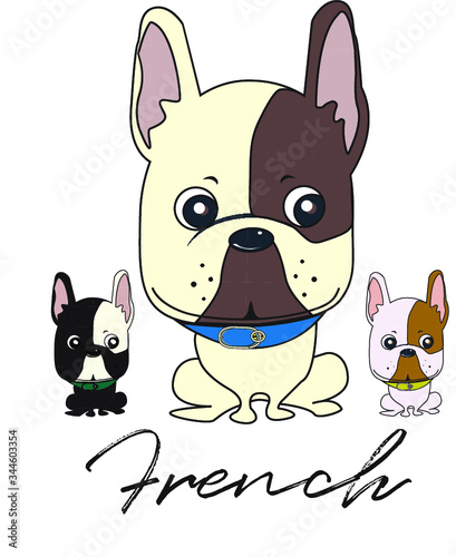 French - The French Bullies -  Bulldog Francesi