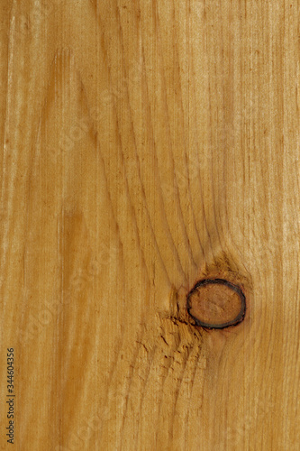 wood structure close up macro