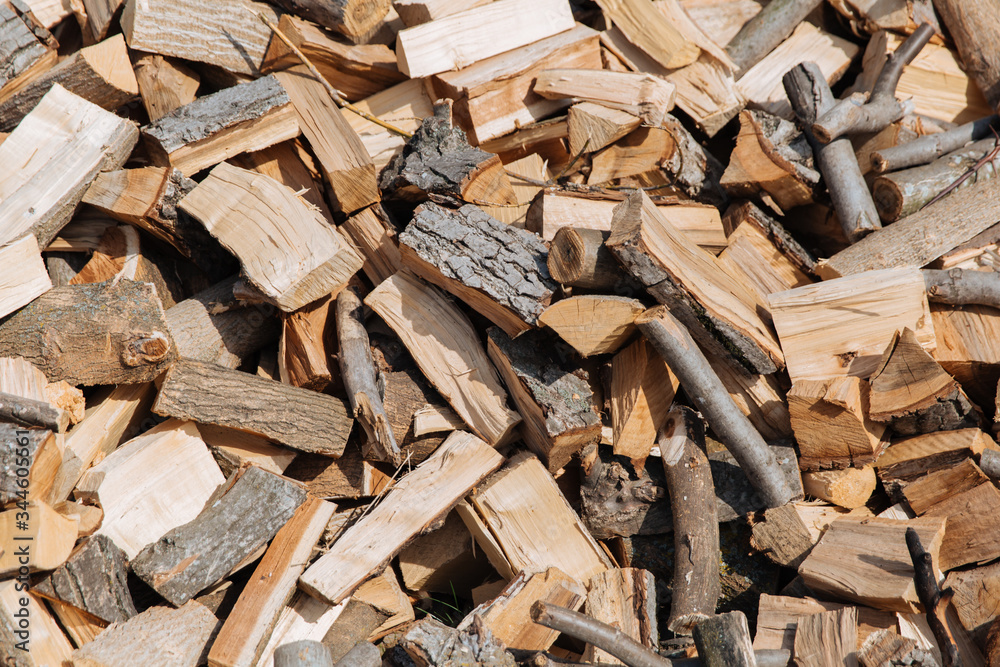 Texture, chopped firewood from different species of trees. Texture, chopped firewood from different species of trees.