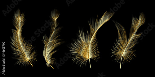 Set of gold  feather. Vector illustration.