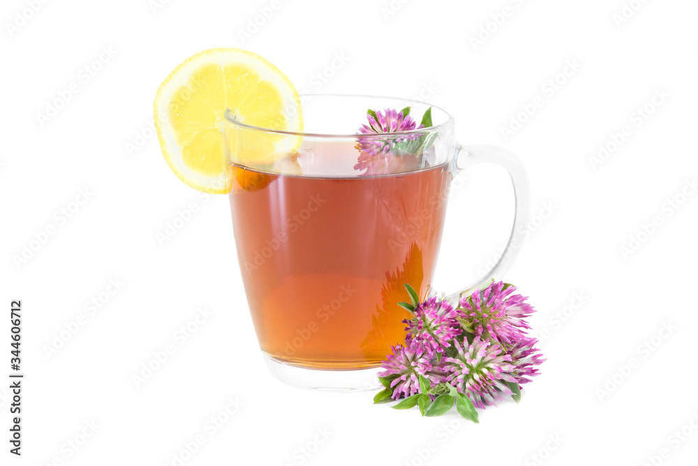 Delicious herbal tea with red Clover (Trifolium pratense) flowers in a glass mug isolated on white background.