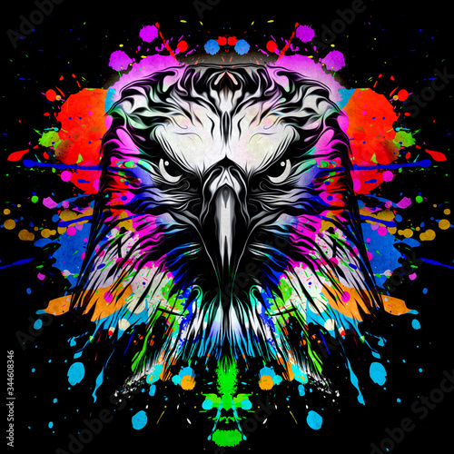 colorful artistic eagle iso...