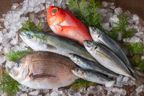 Photography assorted japanese fresh fishes on ice