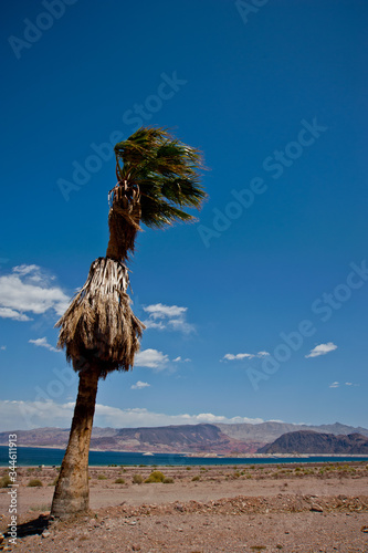 Photography Nevada