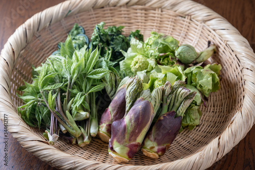 assorted traditional japanese wild vegetables photo