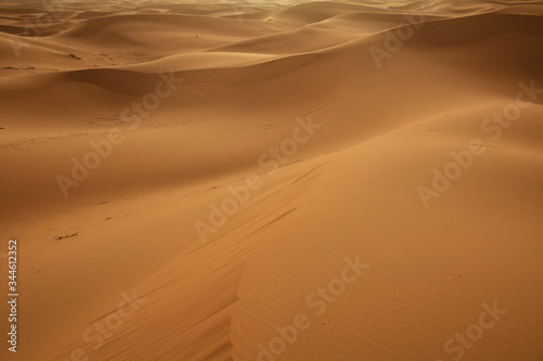 Sahara desert