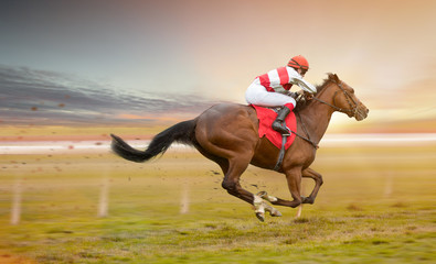 Race horse with jockeys on the home straight. Shaving effect.
