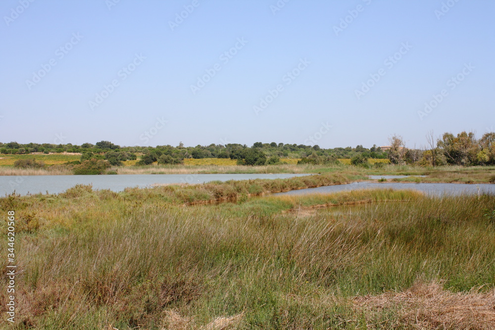 Vendicari, riserva naturale, siracusa, sicilia Vendicari, riserva naturale, siracusa, sicilia