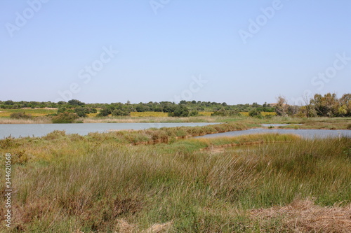 Vendicari  riserva naturale  siracusa  sicilia