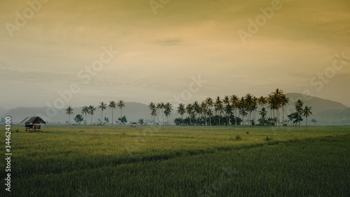 sunset view on village