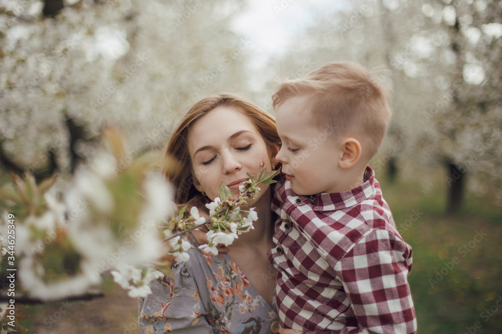 Obraz premium Mom with her son in a blooming garden. Walk with baby in nature in spring. Garden in Grojcu.