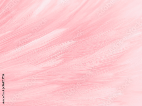 Beautiful abstract white and pink feathers on white background and soft white feather texture on pink pattern and pink background, feather background, pink banners