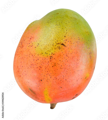  single mango