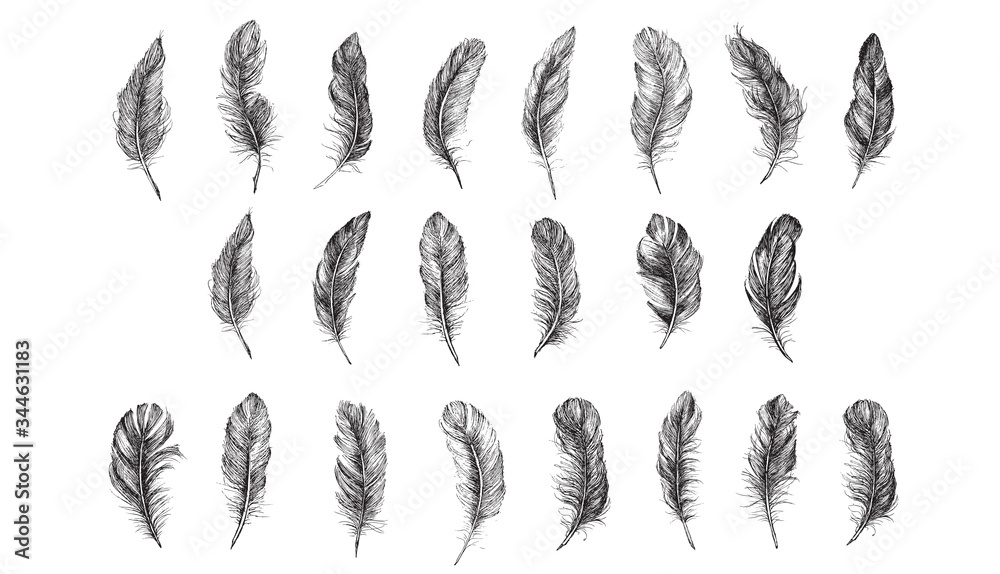 Vector Black and White Feather Pattern Stock Vector | Adobe Stock