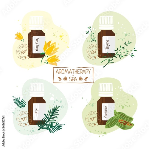 Set with essential oils of ylang ylang, thyme, fir and cardamon hand drawn. Aromatherapy and Spa stamp on white background for alternative medicine. Labels on products. Vector illustration