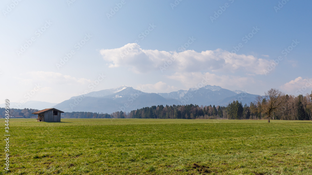 Landscape of green madows in bavaria with alps in background
