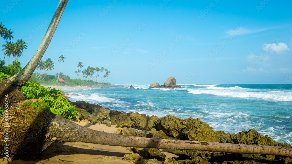 Sea view. Ocean landscape. Paradise place. Exotic beach with blue water and palm trees. Sandy seashore and waves. Rock in the ocean.