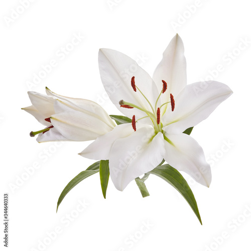 Bouquet of light lilies isolated on white background. © vetre