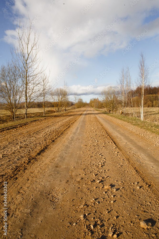 Naklejka premium A dirt road in the countryside goes into the distance. Beautiful clouds and thin birches along the clay road in spring