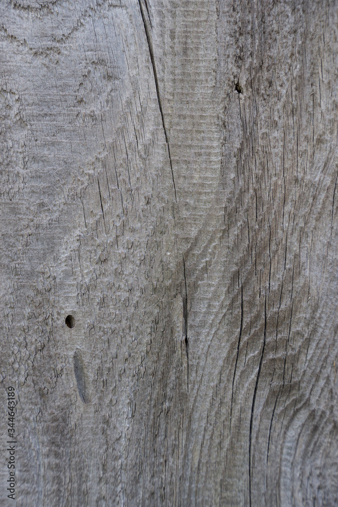 wood old oak - tile able. Surface eroded by time, Old wood background. Grungy cracked wooden board by closeup. wood old oak - tile able. Surface eroded by time, Old wood background. Grungy cracked wooden board by closeup.