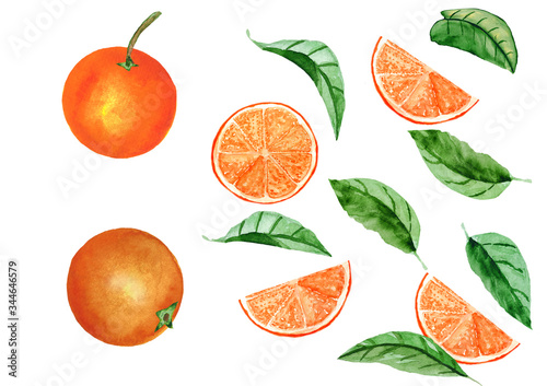 Watercolor hand drawn illustration. Fresh orange fruits and leaves isolated on a white background. For the design of postcards, posters