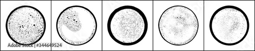 Coffee foam top view. Set of black texture on white background. Monochrome circle shape backdrop. Vector illustration, EPS 10.