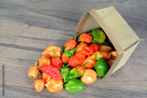 hottest pepper photo