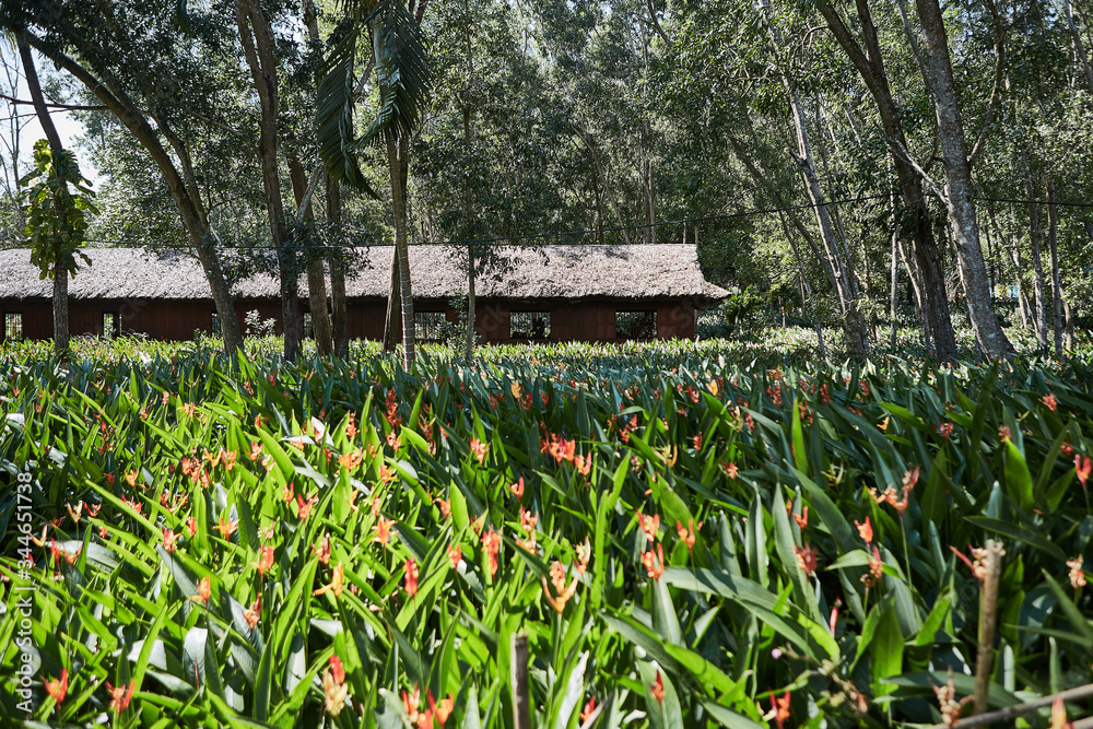 Obraz premium baracke