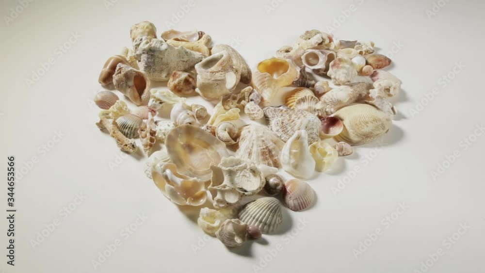 Heart-shaped composition, composed of various and deverse sea shells, on a white plane. Heart-shaped composition, composed of various and deverse sea shells, on a white plane.
