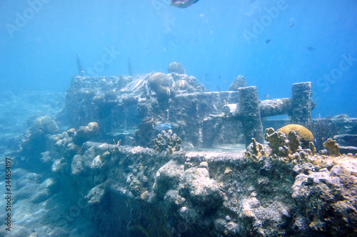 Beautiful Brain Coral In The Caribbean Sea. Blue Water. Relaxed, Curacao, Aruba, Bonaire, Animal, Scuba Diving, Ocean, Under The Sea, Underwater Photography, Snorkeling, Tropical Paradise.