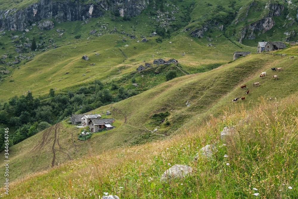 Farm Near Alpe Pianmisura, Piedmont, Italy