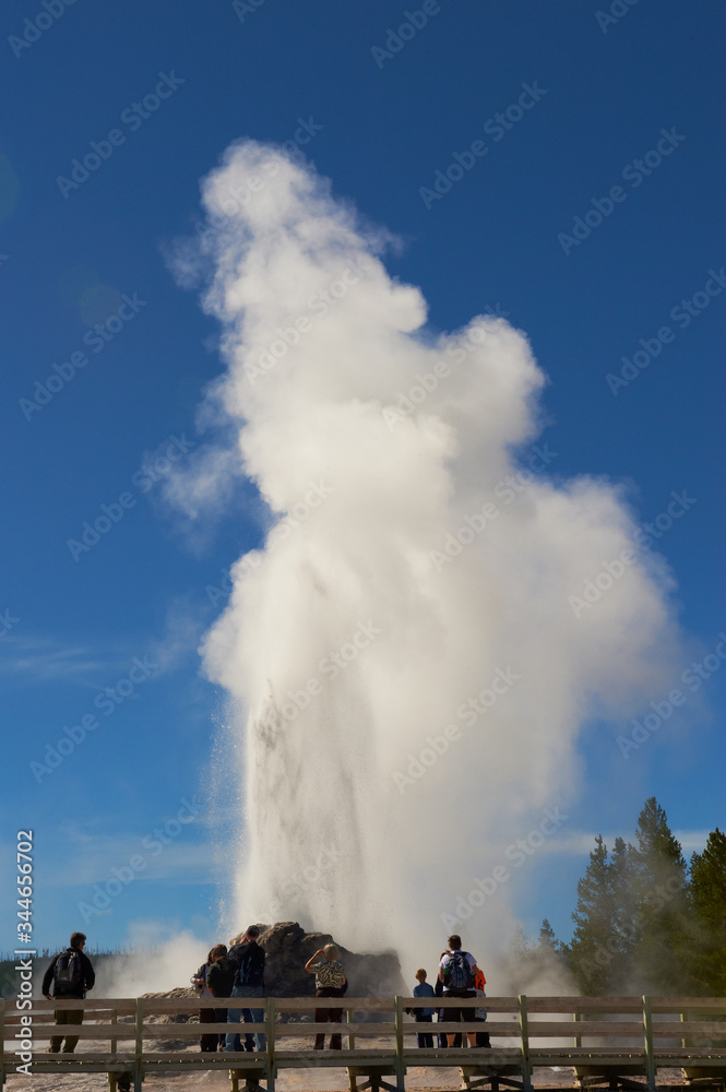Obraz premium Yellowstone Geysers