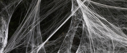 Fototapeta Naklejka Na Ścianę i Meble -  white spider web on white background