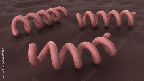 Treponema pallidum under a microscope. Bacterium which causes syphilis, close-up view. 3D-rendering.